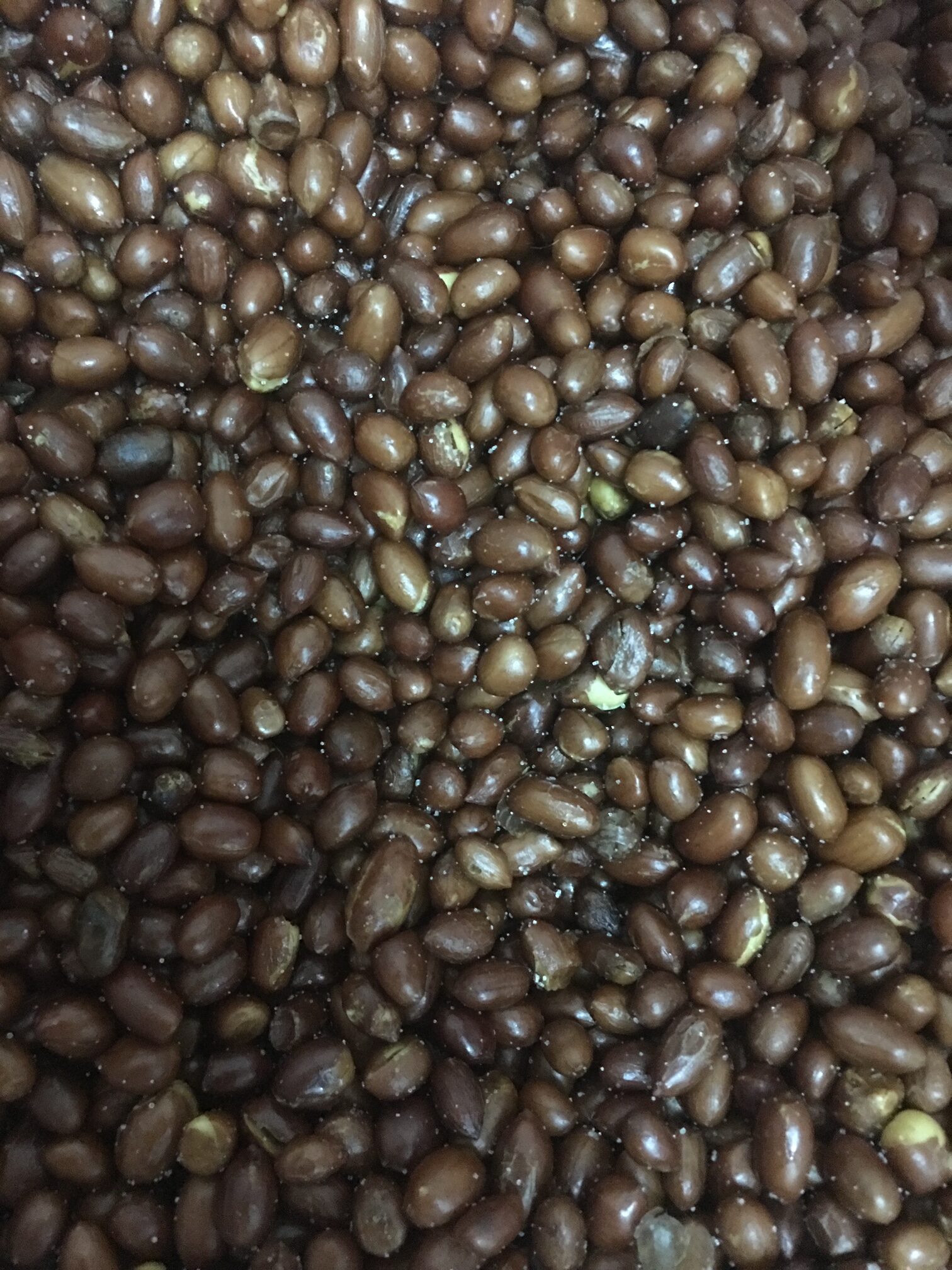 Salted groundnuts 炸咸花生 Kacang Tanah Masin {HALAL} - Image 2