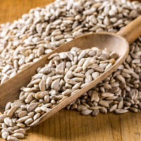 RAW Sunflower Kernel/ 生葵花籽/ Kuaci Bunga matahari Isi Mentah